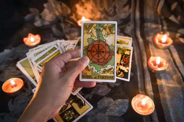 tarot cards Layhill